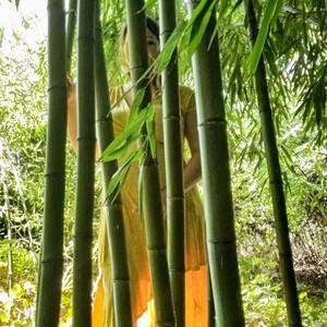 Meet your Posher, Faith